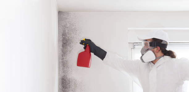 Best Office Mold Removal Services  in Siena College, NY